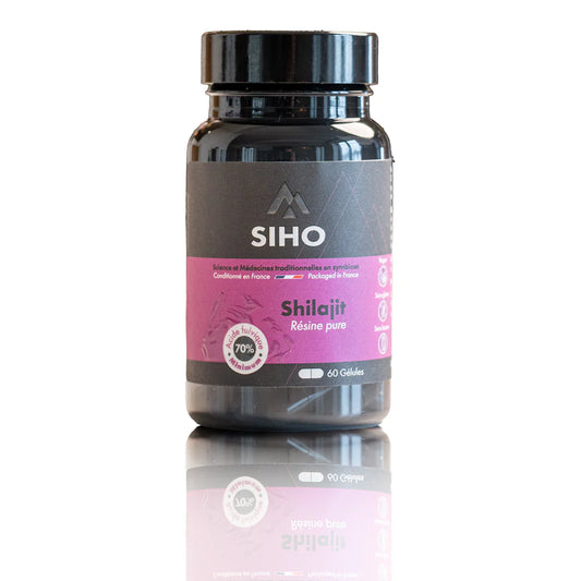 Shilajit Pur en Gélules