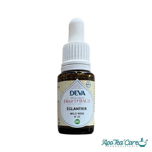Fleur de Bach Églantier 15ml Bio – Deva