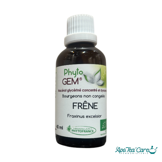 Macérat Phyto'gem Concentré de Bourgeons de Frêne 40ml - Mobilité Articulaire & Gemmothérapie PhytoFrance