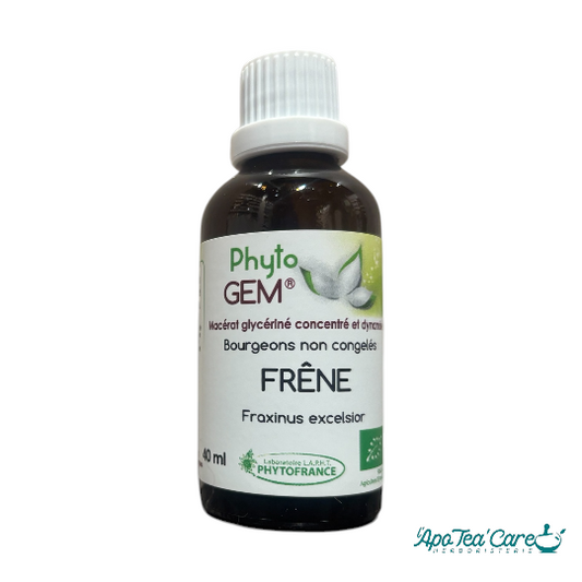 Macérat Phyto'gem Concentré de Bourgeons de Frêne 40ml - Mobilité Articulaire & Gemmothérapie PhytoFrance