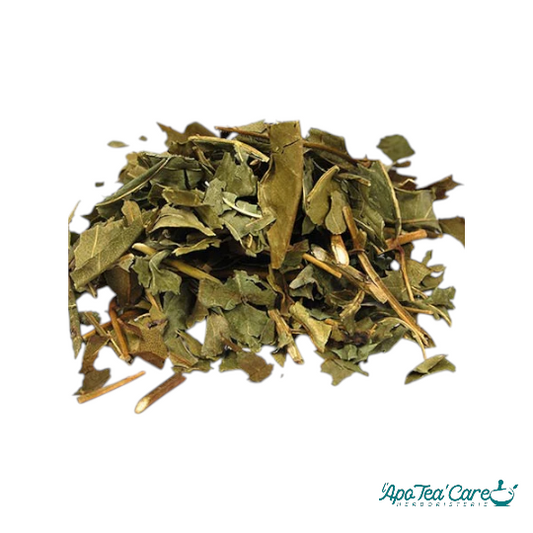 Frêne Bio feuille qualité extra coupée