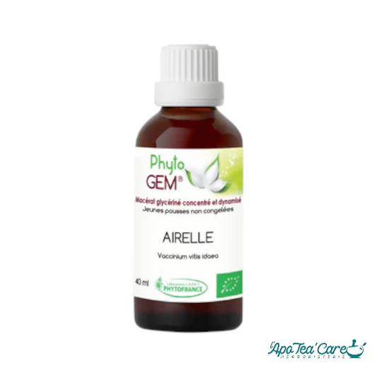 Macérat Phyto’gem Concentré de Bourgeons Airelle BIO 40ml PhytoFrance