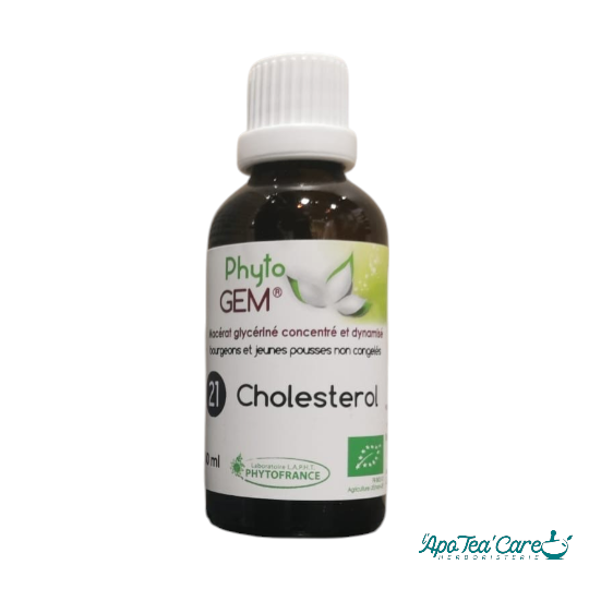 Macérat Phyto'gem N°21 – Cholestérol - pour aider à l'équilibre du cholesterol - L'ApoTea'Care 