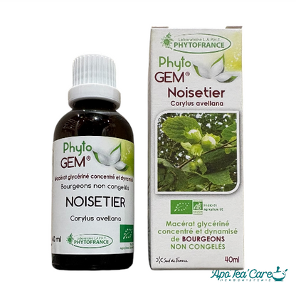 Le Macérat Phyto'gem de Bourgeons de Noisetier Bio 40ml