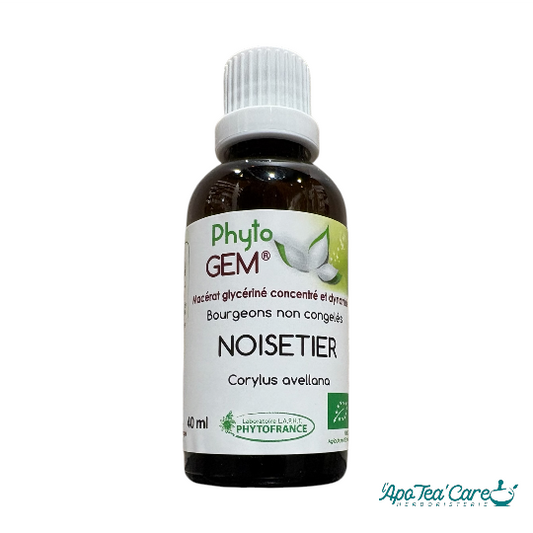 Le Macérat Phyto'gem de Bourgeons de Noisetier Bio 40ml