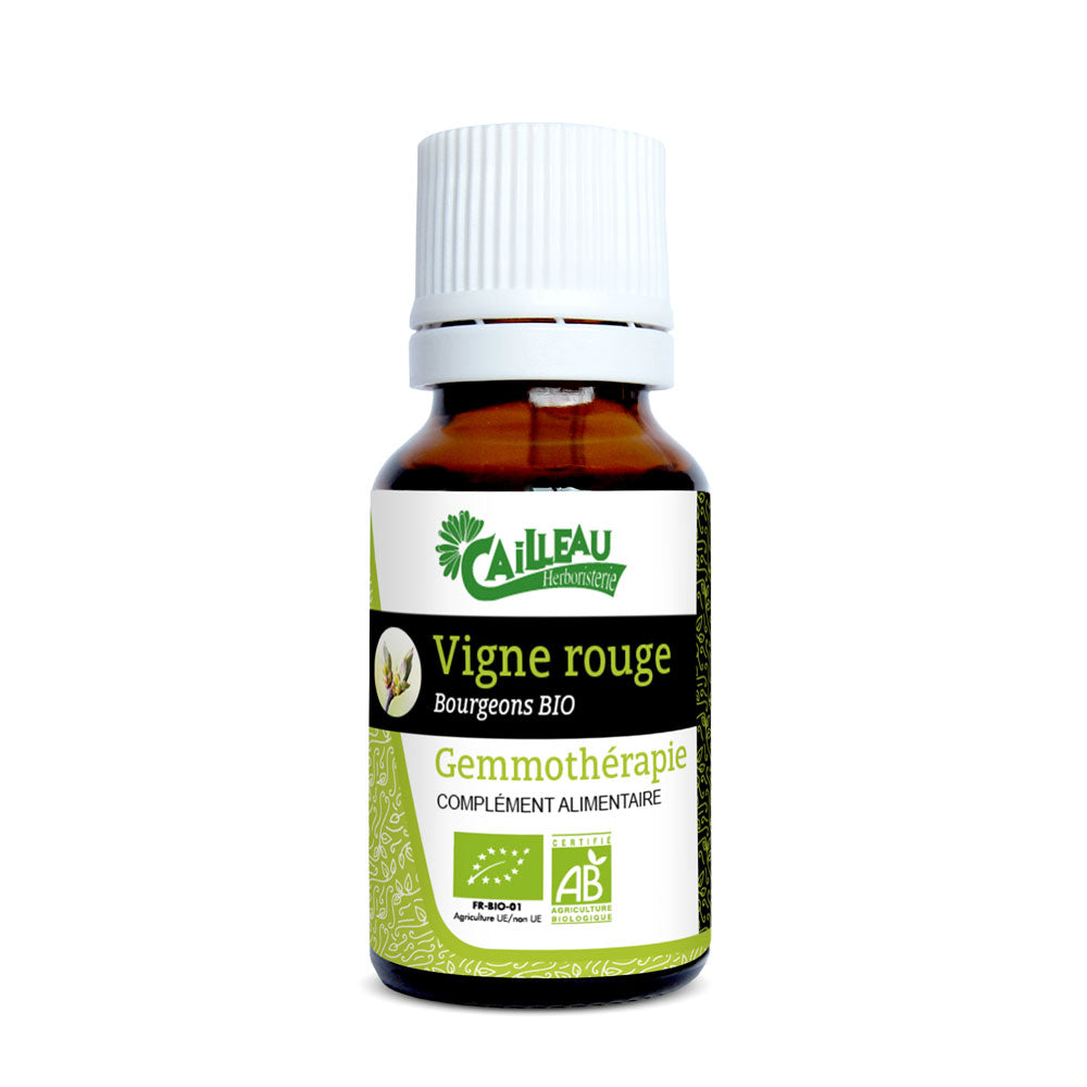 Macérat de bourgeons de Vigne Rouge bio 15ml Gemmothérapie Cailleau - L'ApoTea'Care