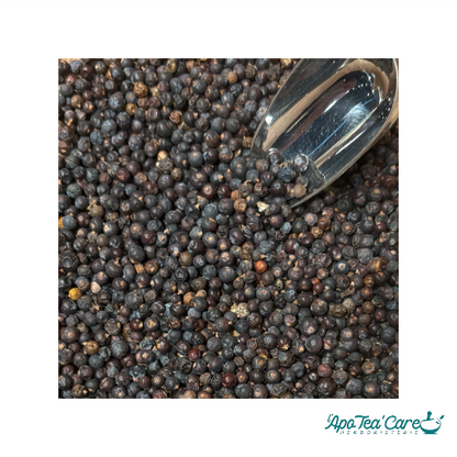 Genévrier Bio Baie - Digestion & Détox Naturelle