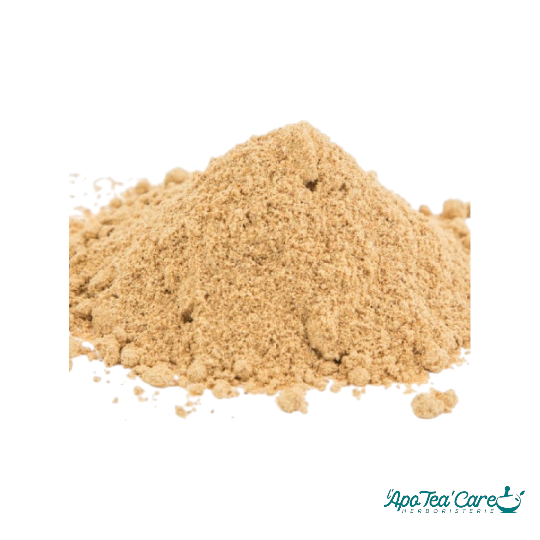 Gingembre Gris Racine Poudre BIO