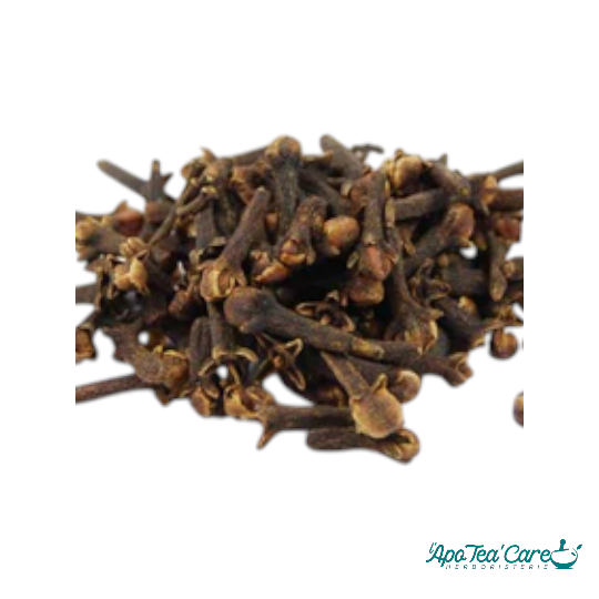 Giroflier Bouton Floral dit « Clou »