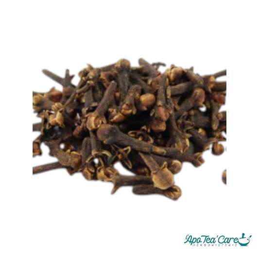 Giroflier Bouton Floral dit « Clou »