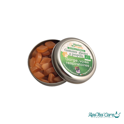 Gommes de Plantes & Propolis Bio 45g