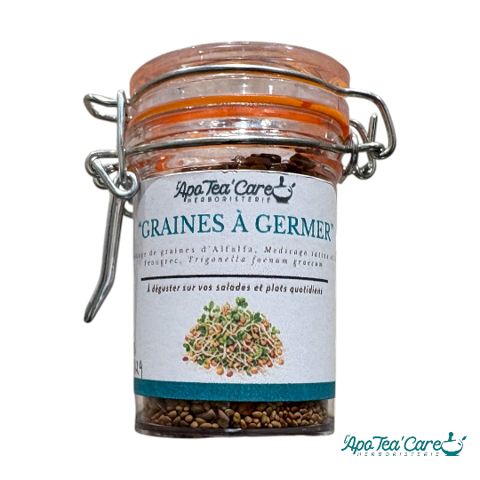 Graines à germer – Fenugrec & Alfalfa