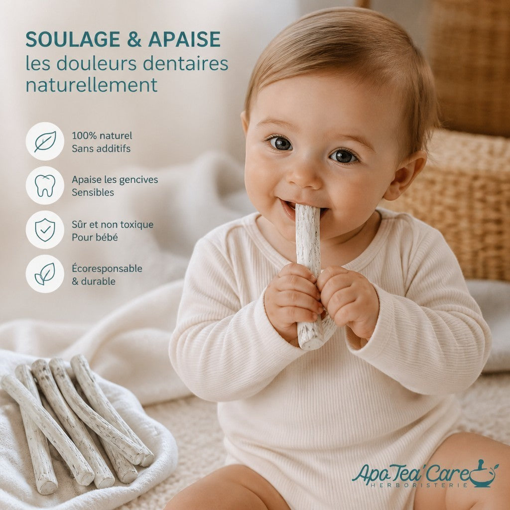 Bébé souriant mâchouillant un bâton de guimauve bio Herboristerie L'ApoTea'Care pour soulager les poussées dentaires