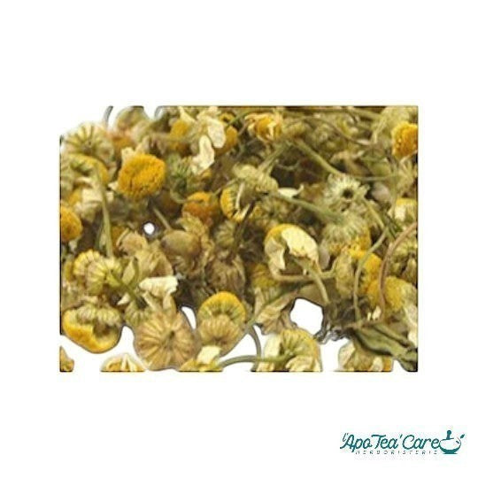 Capitules de fleurs de camomille matricaire bio Herboristerie L'ApoTea'Care pour infusion apaisante et digestive