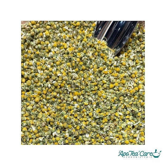 Capitules de fleurs de camomille matricaire séchées de qualité extra Herboristerie L'ApoTea'Care pour infusion