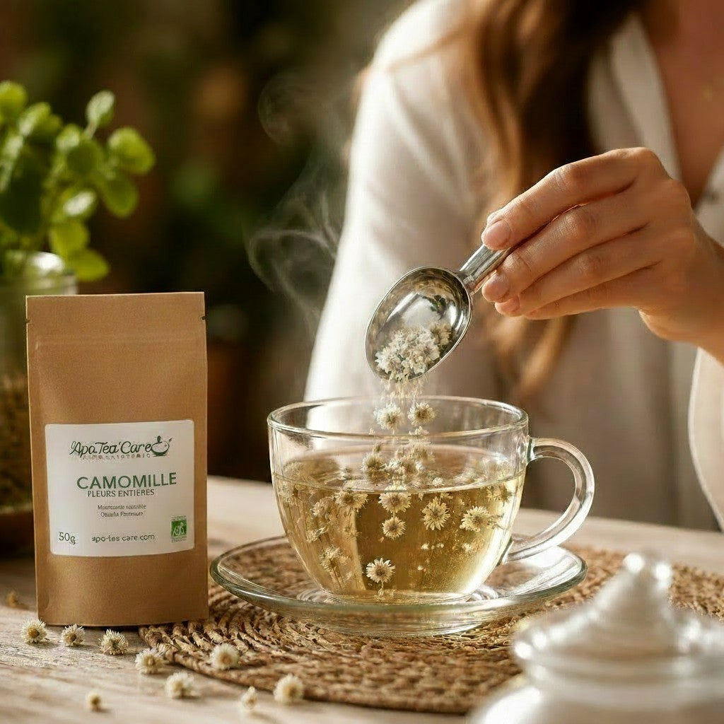 Infusion de fleurs de camomille romaine bio Herboristerie L'ApoTea'Care versée dans une tasse en verre