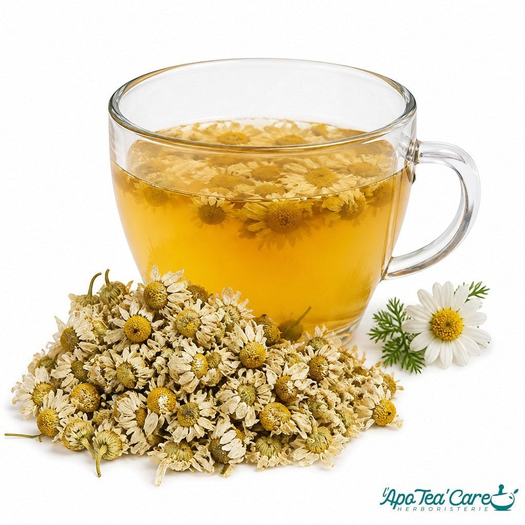 Infusion de fleurs de camomille romaine Herboristerie L'ApoTea'Care dans une tasse en verre avec fleurs séchées