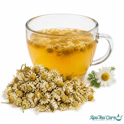 Infusion de fleurs de camomille romaine Herboristerie L'ApoTea'Care dans une tasse en verre avec fleurs séchées