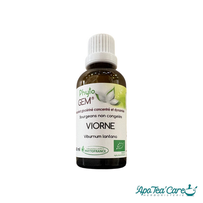 Flacon de 40ml de macérat de bourgeons de Viorne bio PhytoFrance vendu par Herboristerie L'ApoTea'Care