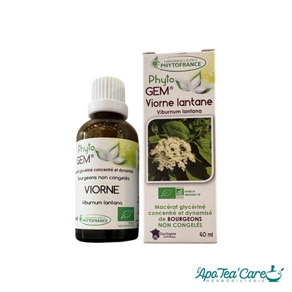 Flacon et étui de macérat de bourgeons de Viorne bio PhytoFrance vendu par Herboristerie L'ApoTea'Care