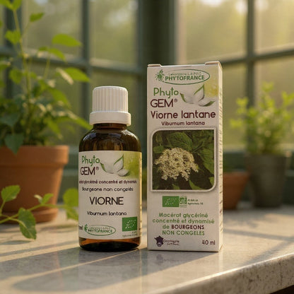 Flacon et boîte de macérat de bourgeons de Viorne BIO PhytoFrance par Herboristerie L'ApoTea'Care sur un rebord