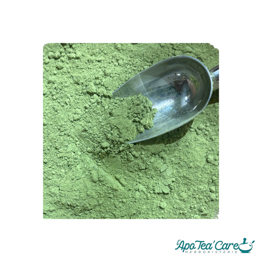 Poudre de thé vert matcha bio Herboristerie L'ApoTea'Care avec une pelle en métal pour la préparation de lattes