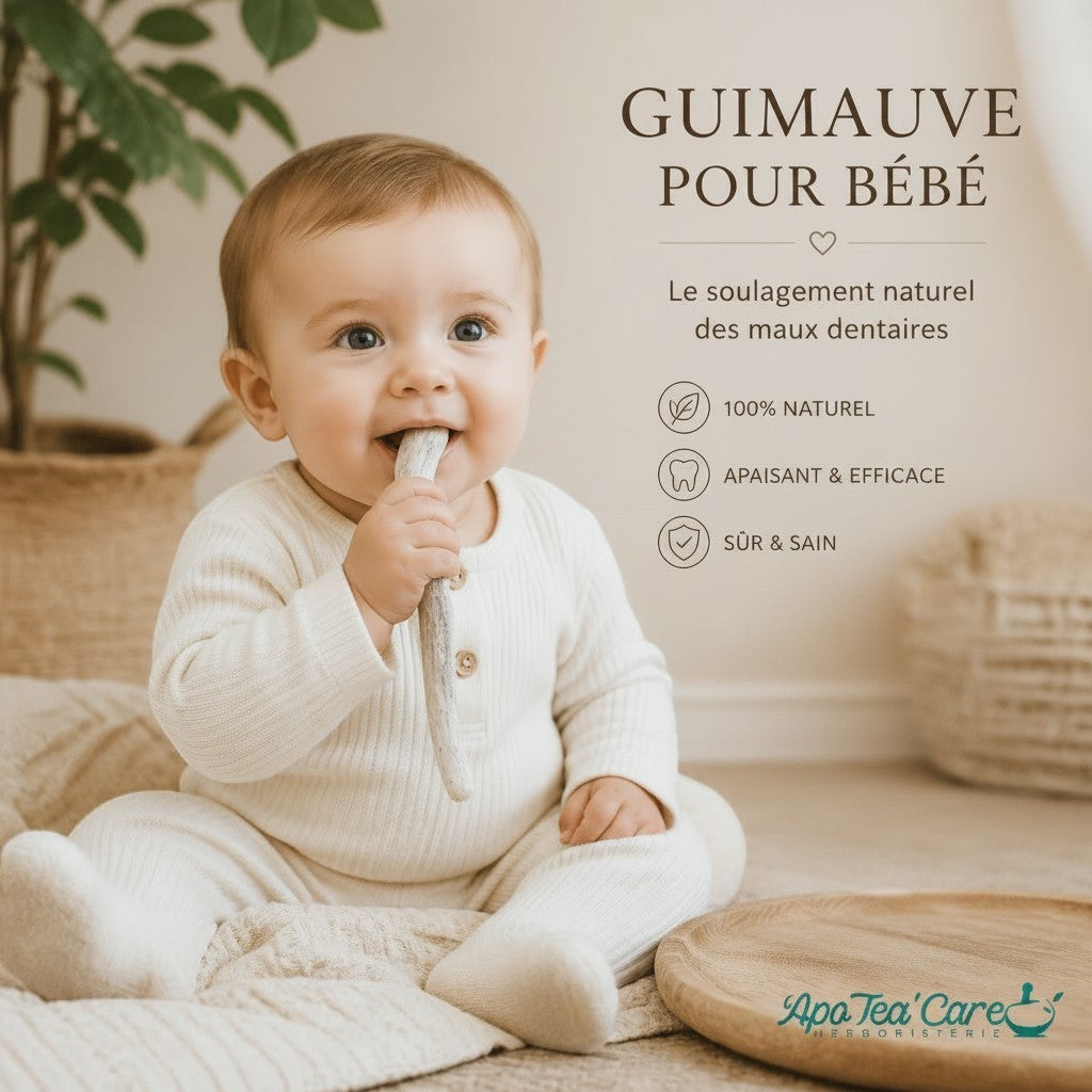 Bébé mâchonnant une racine de guimauve bio Herboristerie L'ApoTea'Care pour soulager ses poussées dentaires