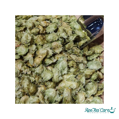 Houblon Cône Entier - Sommeil & Relaxation Naturelle L'ApoTea'Care