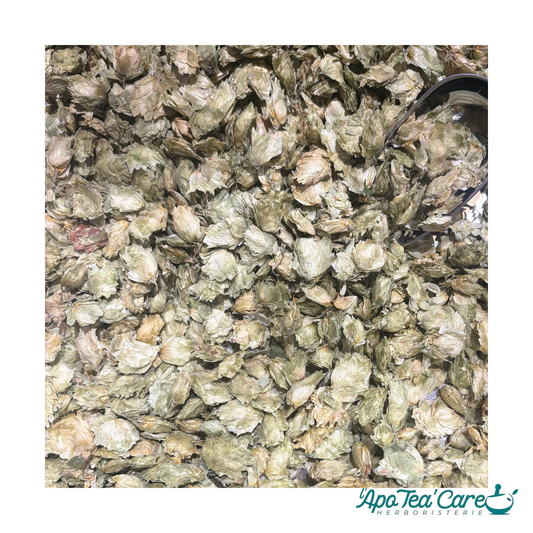 Houblon Cône Entier - Sommeil & Relaxation Naturelle L'ApoTea'Care