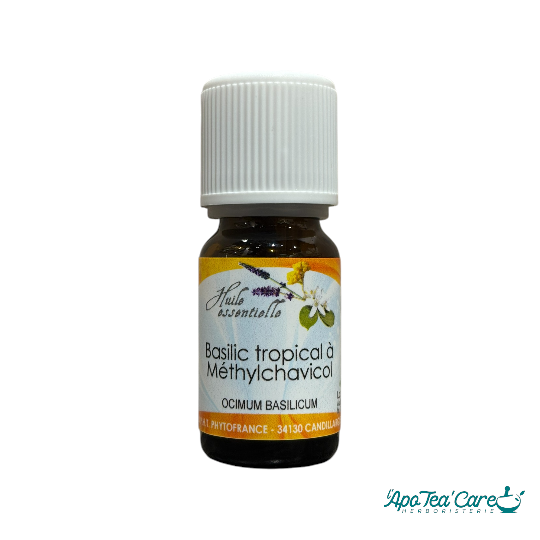  Huile essentielle de Basilic Tropical 10ml PhytoFrance – concentration et tonus – L'ApoTea'Care