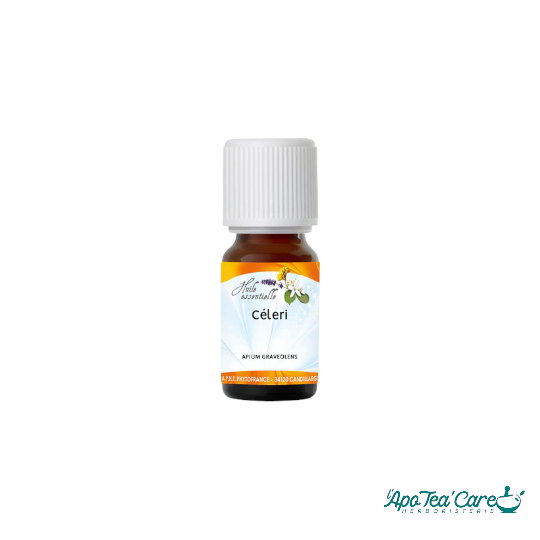 Huile Essentielle Cèleri 10ml