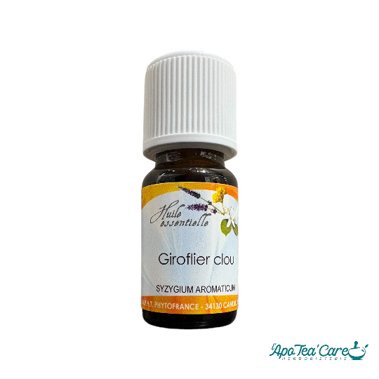 Huile Essentielle Girofle (Clou) 10ml phytofrance
