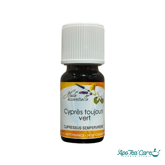 Huile essentielle de Cyprès Toujours Vert bio 10ml PhytoFrance – circulation sanguine et jambes lourdes – L'ApoTea'Care