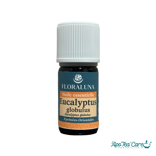 Huile Essentielle Eucalyptus Globulus 5ml Floraluna