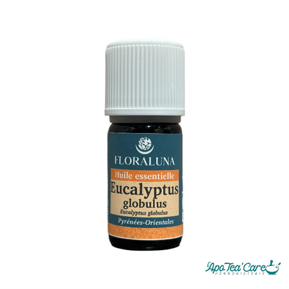 Huile Essentielle Eucalyptus Globulus 5ml Floraluna