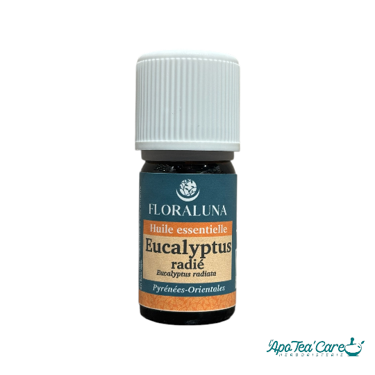 Huile essentielle d'eucalyptus radié 5ml Floraluna. Purifiante - L'ApoTea'Care