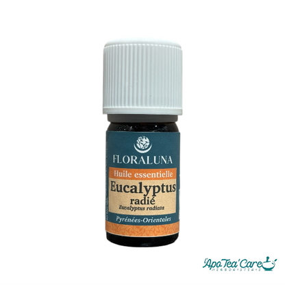 Huile essentielle d'eucalyptus radié 5ml Floraluna. Purifiante - L'ApoTea'Care