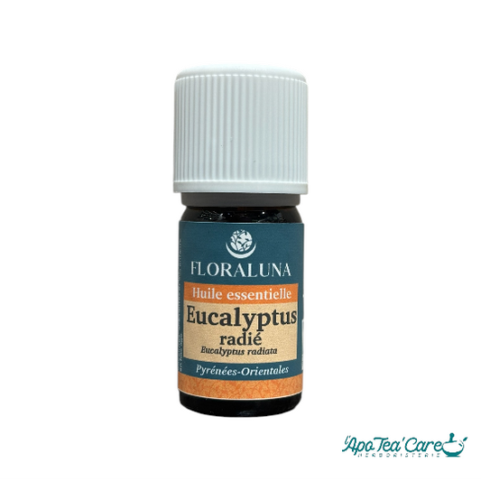 Huile essentielle d'eucalyptus radié 5ml Floraluna. Purifiante - L'ApoTea'Care