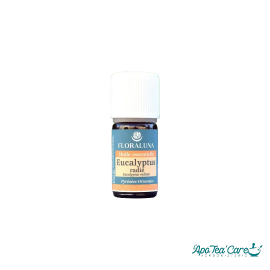 Huile Essentielle Eucalyptus Radié 5ml Floraluna