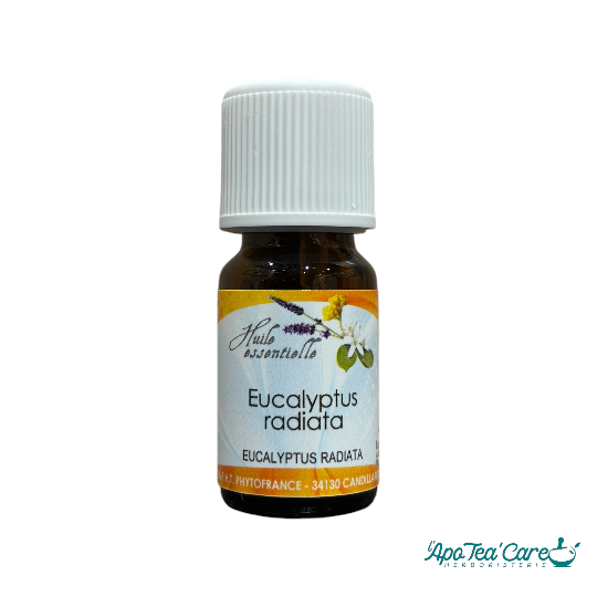 Huile essentielle d'eucalyptus radié 10ml Phytofrance. Dégage les voies respiratoires, purifiante - L'ApoTea'Care