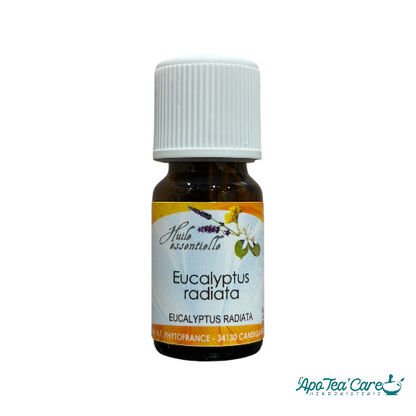 Huile essentielle d'eucalyptus radié 10ml Phytofrance. Dégage les voies respiratoires, purifiante - L'ApoTea'Care