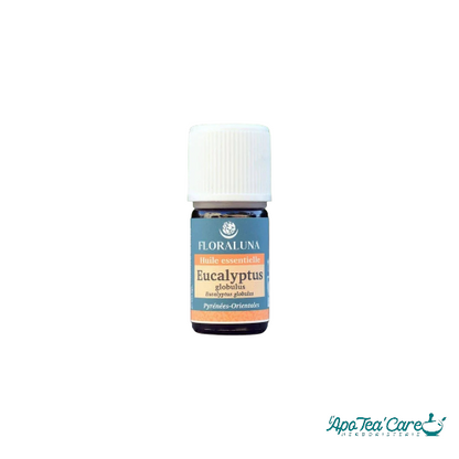 Huile Essentielle Eucalyptus Globulus 5ml Floraluna