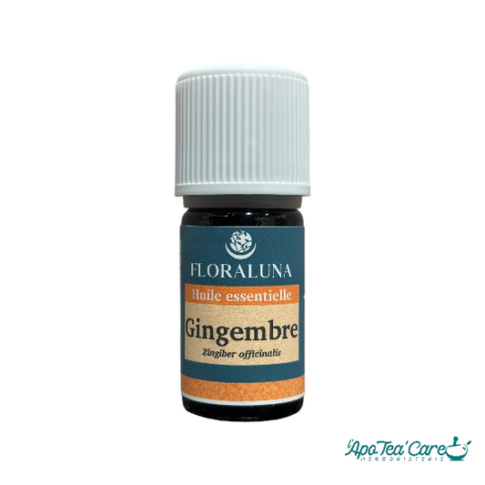 Huile Essentielle Gingembre 5ml – Digestion & Vitalité Floraluna - L'ApoTea'Care