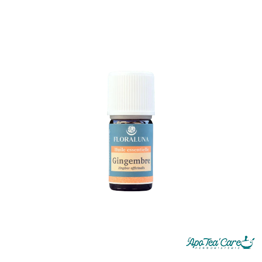 Huile Essentielle Gingembre