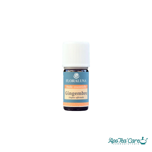 Huile Essentielle Gingembre