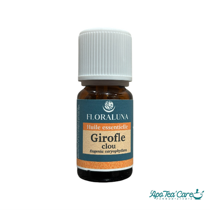 Huile Essentielle Girofle Clou 10ml – Fortifiante & Dentaire Floraluna - L'ApoTea'Care