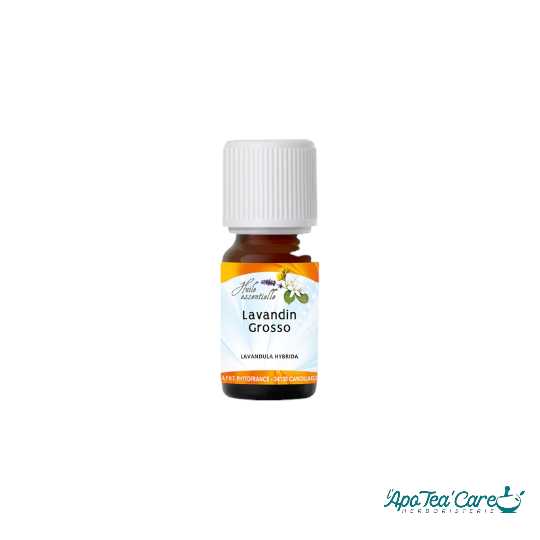 Huile Essentielle Lavandin Grosso 10ml