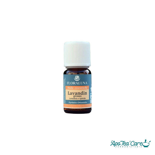Huile Essentielle Lavandin Grosso 10ml Floraluna
