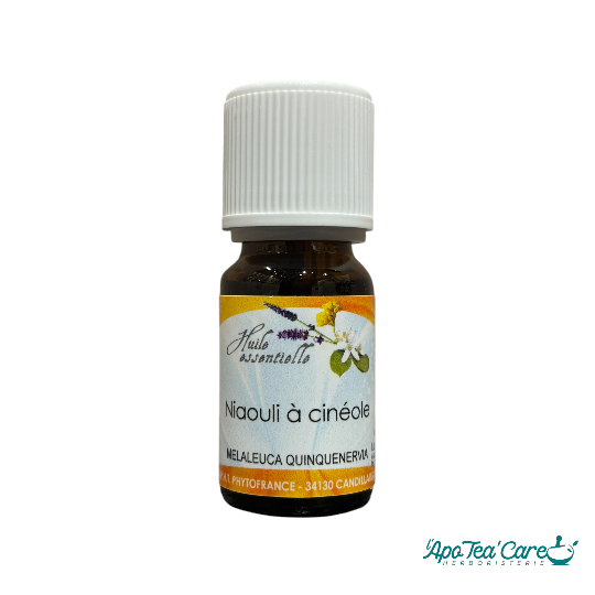Huile Essentielle Niaouli 10ml – Respiratoire & purifiante Phytofrance - L'ApoTea'Care
