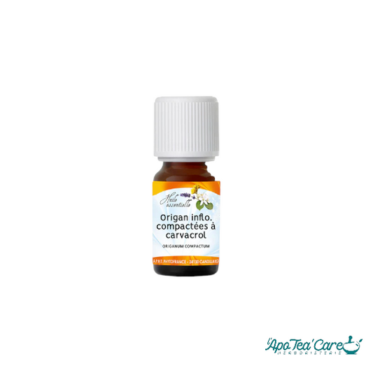 Huile Essentielle Origan Vulgaire 10ml